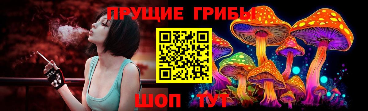 Галлюциногенные грибы GOLDEN TEACHER Берёзовский