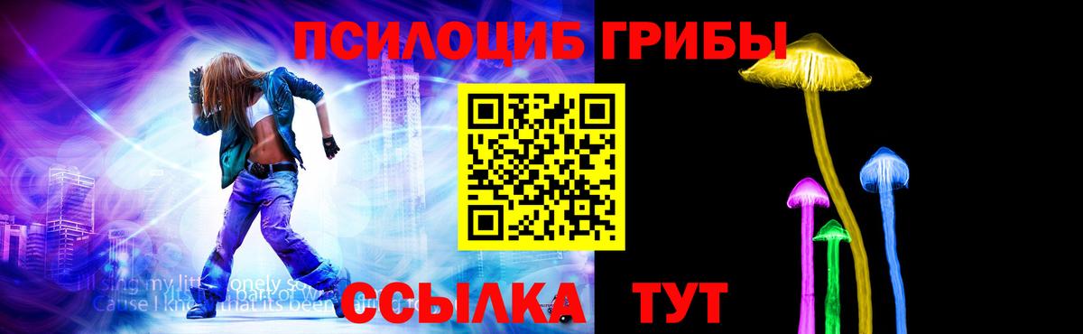 Псилоцибиновые грибы прущие грибы Берёзовский