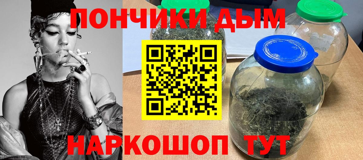 Канабис сатива Берёзовский